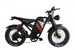 Електрофетбайк 20